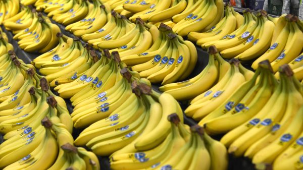 Bananas - re supermarkets to join forces with Fairtrade
