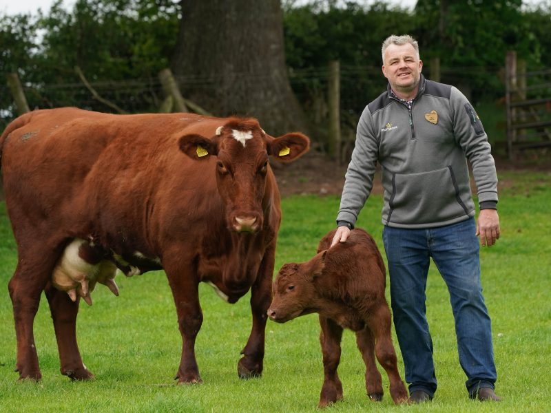 Morrisons partnered with environmental technology company Sea Forest to fast-track the process of feeding its cattle seaweed-based livestock feed in a bid to help reduce carbon production from beef products. 
