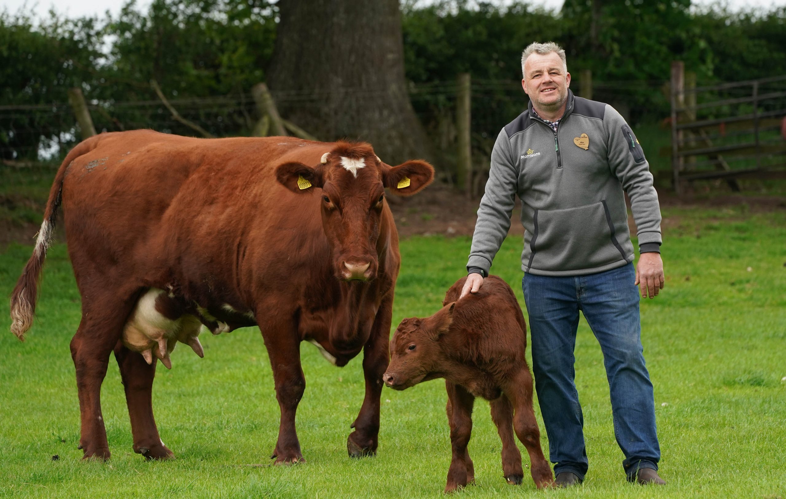 Morrisons partnered with environmental technology company Sea Forest to fast-track the process of feeding its cattle seaweed-based livestock feed in a bid to help reduce carbon production from beef products.