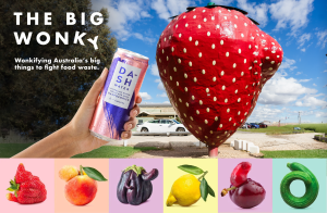 Dash has since debuted in Australia