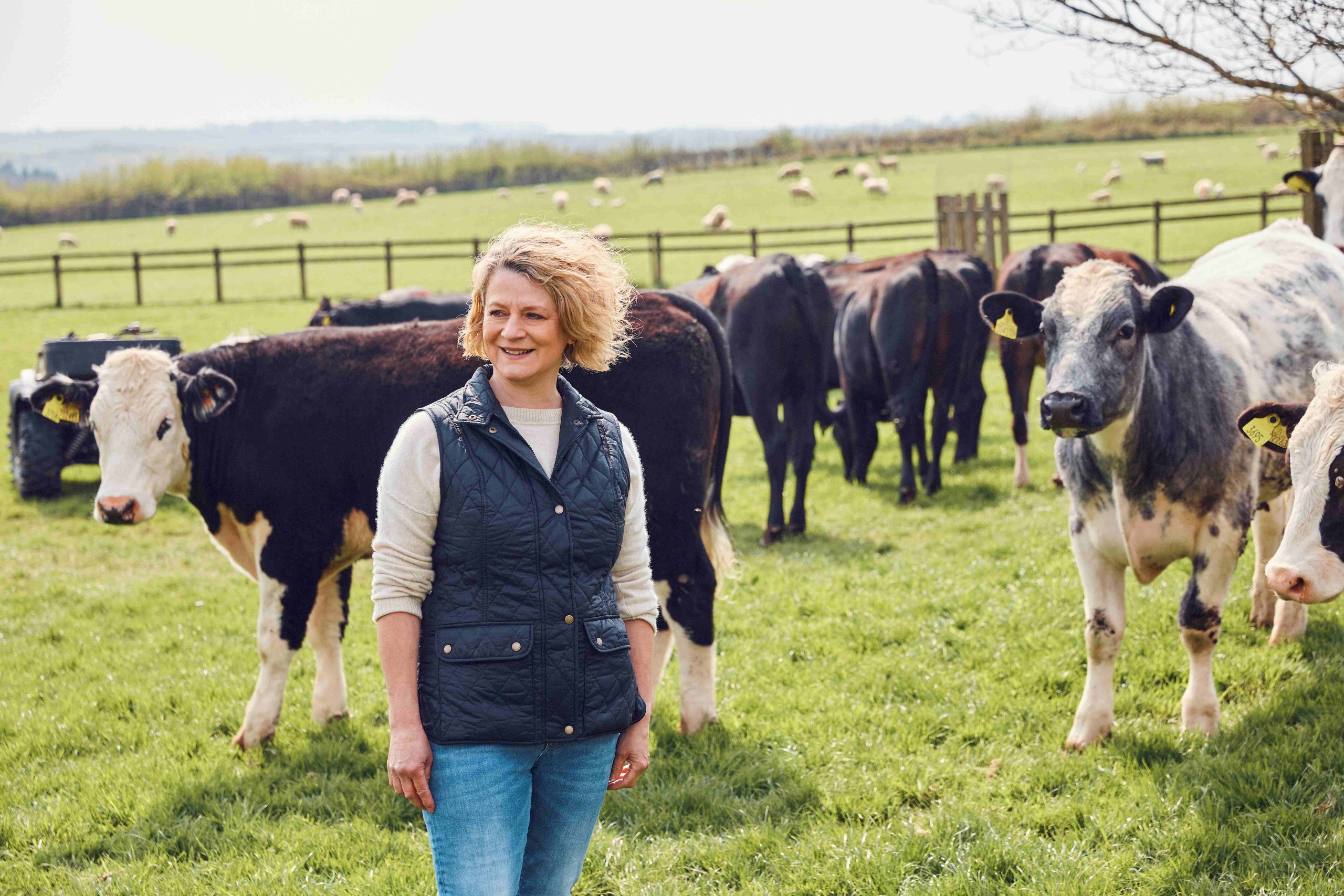 Lidl is beefing up its sustainability commitments with the launch of £1.5bn investment into British beef production over the next 5 years.