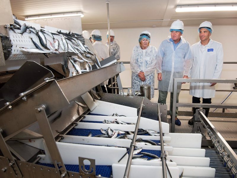 Morrisons fish freezing centre