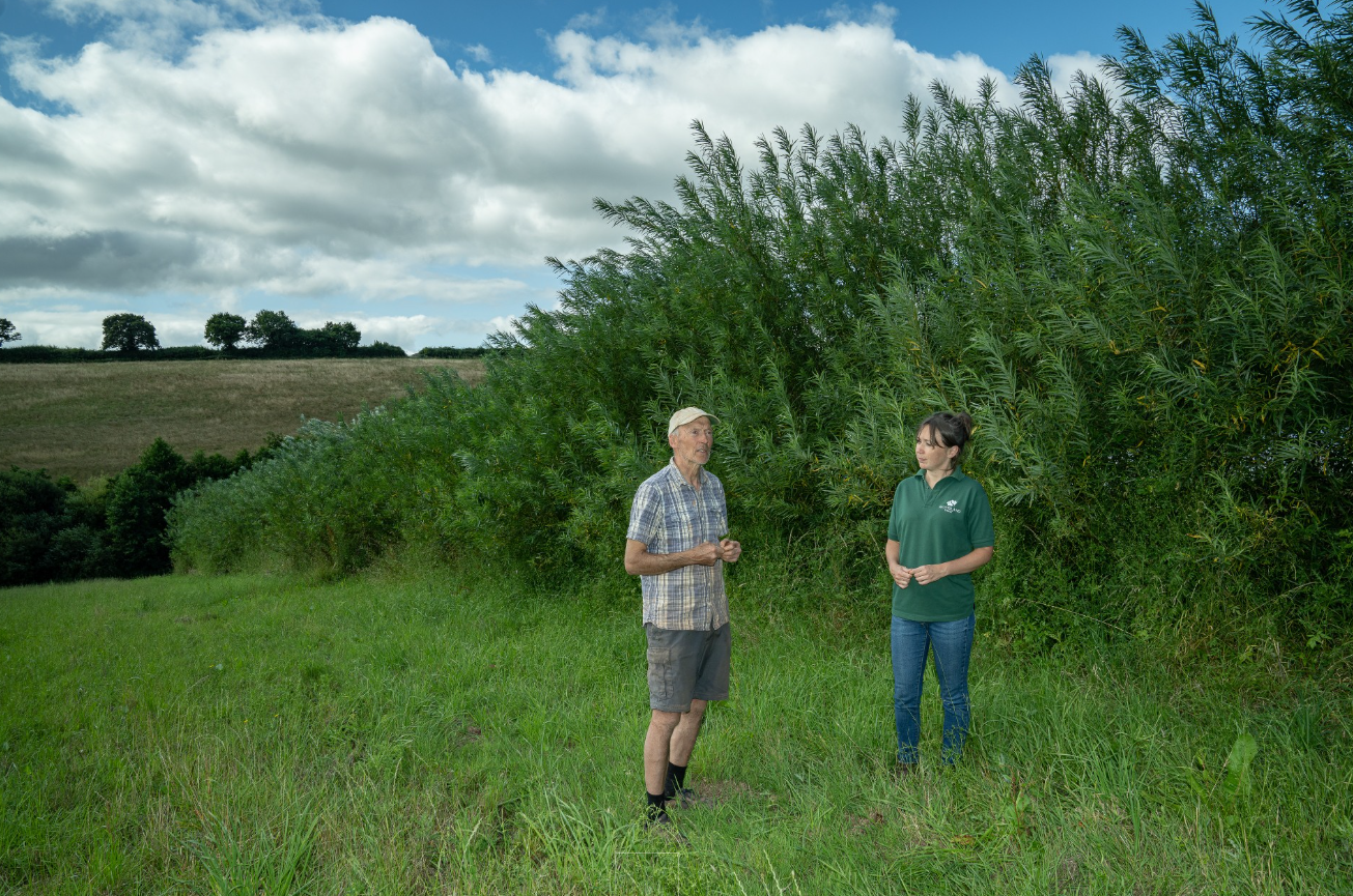 Sainsbury's x The Woodland Trust