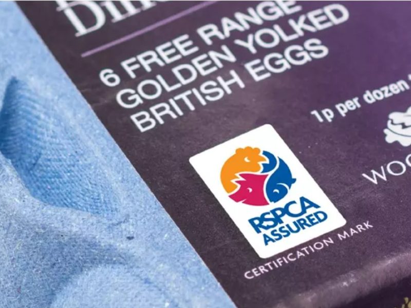The Royal Society for the Prevention of Cruelty to Animals (RSPCA) vice president has quit over "damming evidence" of animal welfare failings at 'RSPCA Assured'-certified farms.