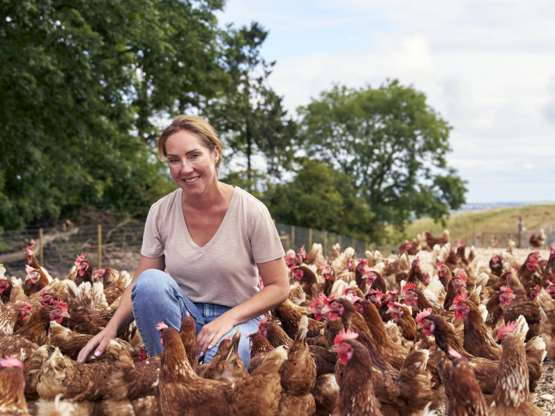 Lidl chicken farm