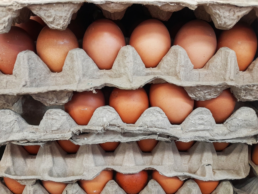 All poultry and captive birds in England must be housed indoors from Thursday (6 November), after the government extended mandatory bird flu measures nationwide.