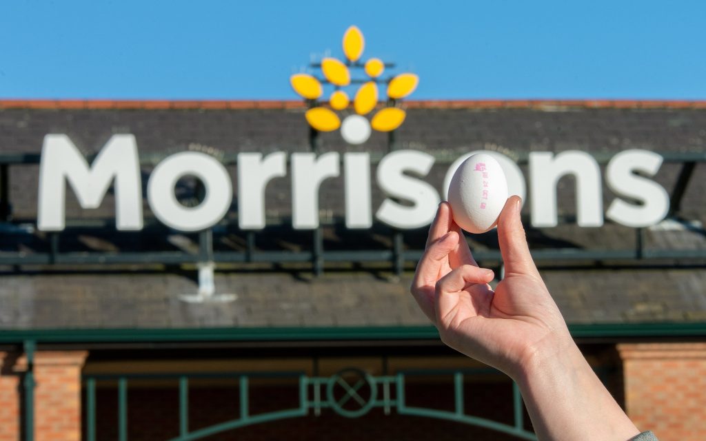 Morrisons white egg