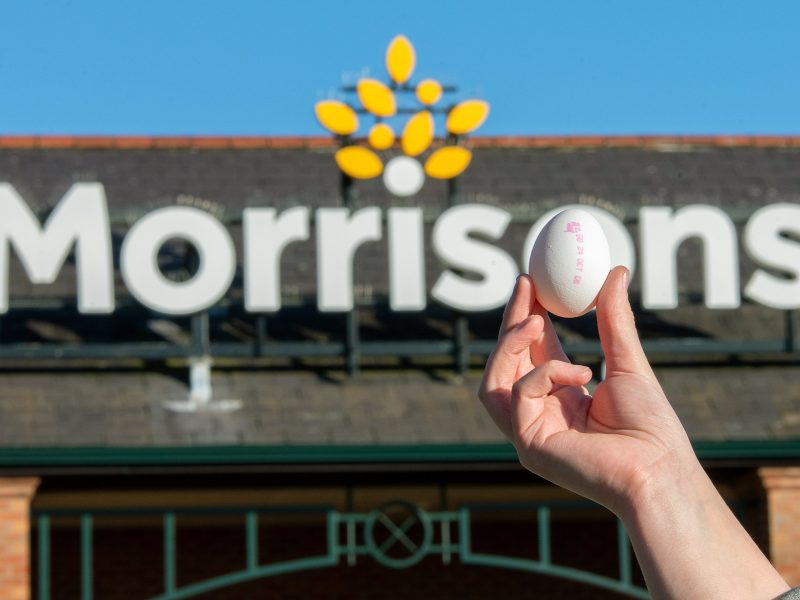 Morrisons white egg