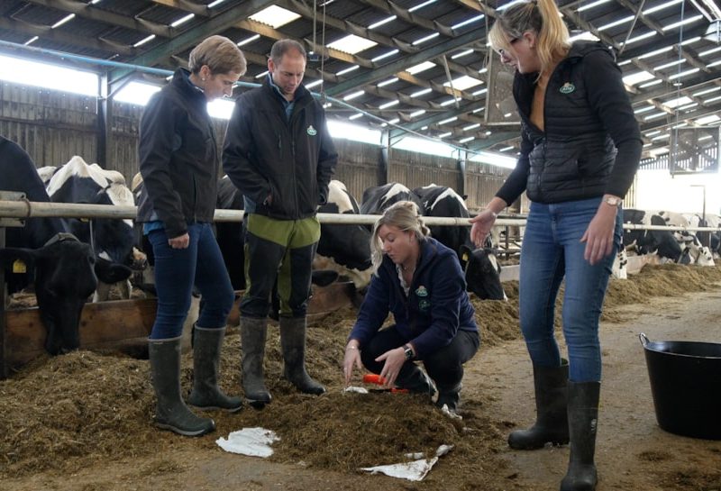 Arla Foods has partnered with supermarkets Morrisons, Tesco and Aldi to trial the use of methane-reducing cattle feed.