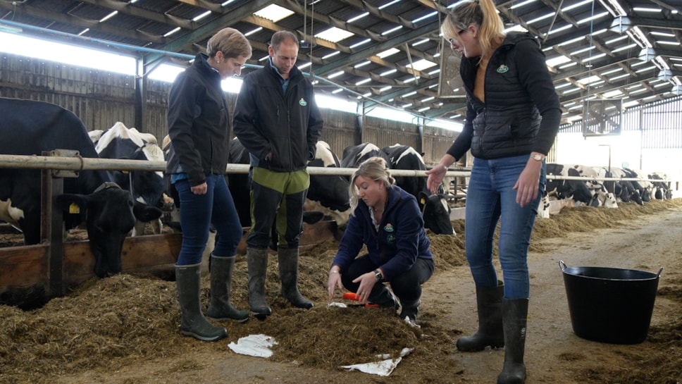 Arla Foods has partnered with supermarkets Morrisons, Tesco and Aldi to trial the use of methane-reducing cattle feed.