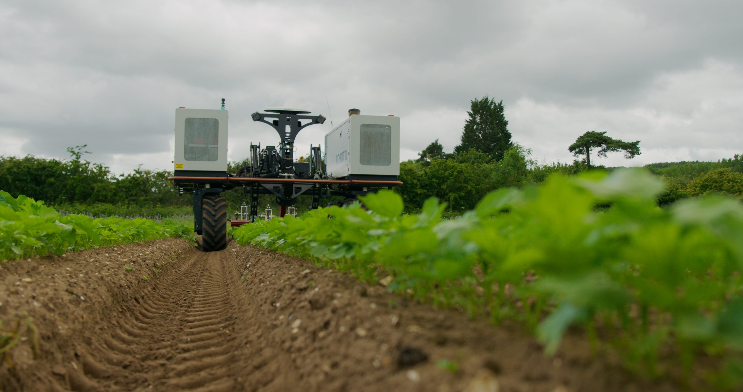 M&S field trial