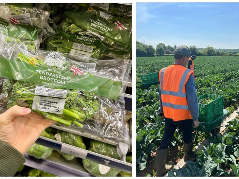 Marks & Spencer (M&S) has launched new initiatives under its Plan A sustainability programme, as it aims to increase the availability of British-grown produce and reduce carbon emissions from imported fruits and vegetables.