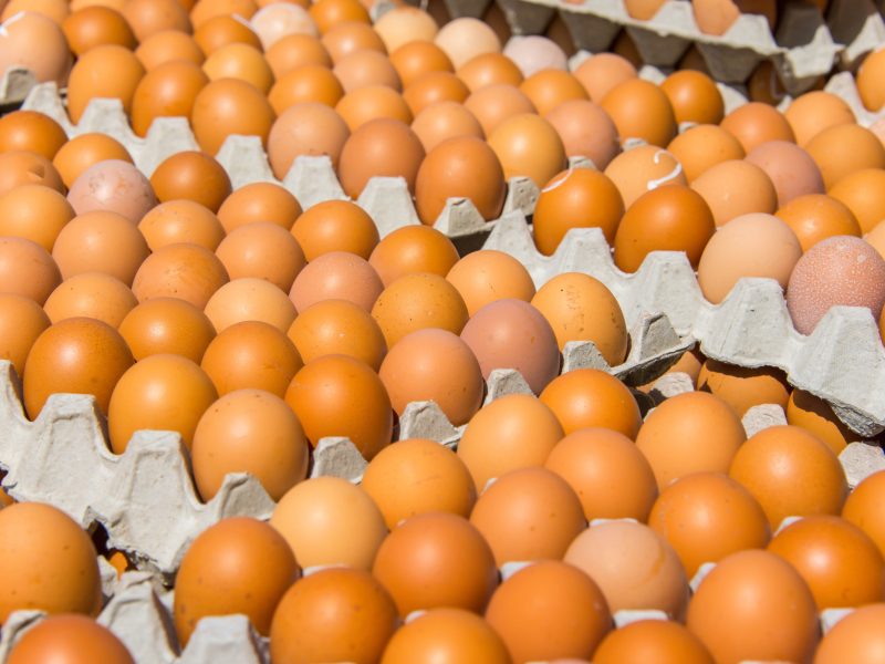 MP - Iceland Foods has confirmed it will go fully cage-free across its egg supply chain by June 2027, after pausing its original 2025 target due to supply chain pressures and the cost-of-living crisis.