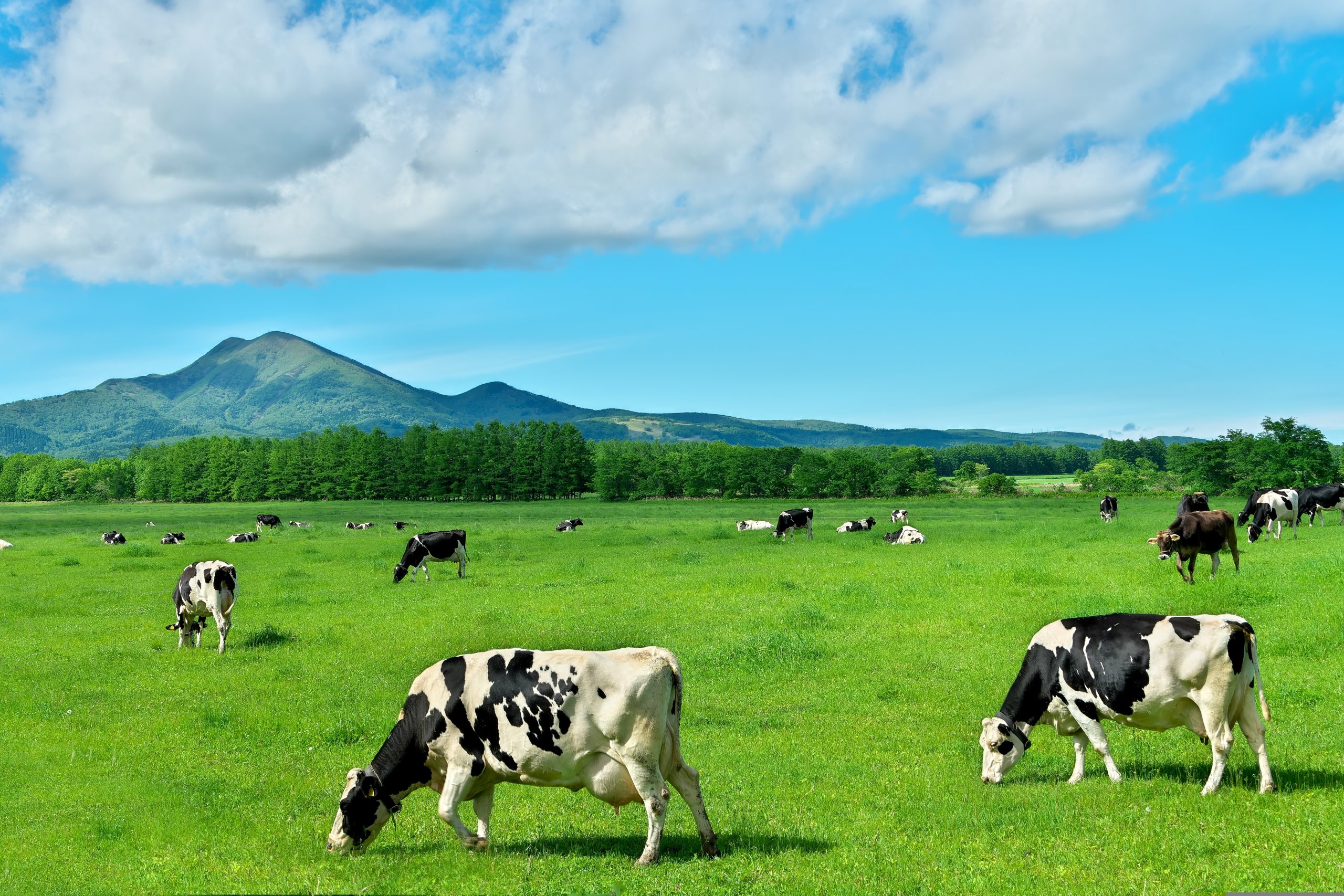 farming