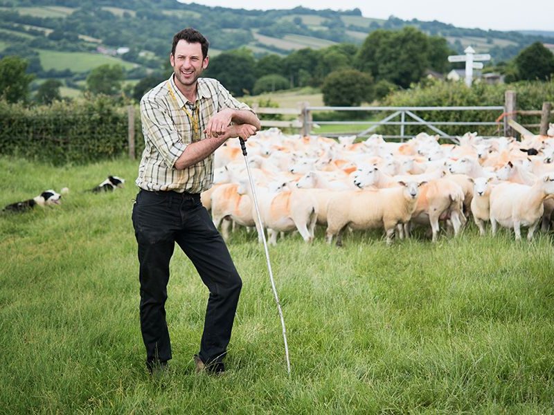 MPs urged to tackle supermarket 'tyranny' over British farmers