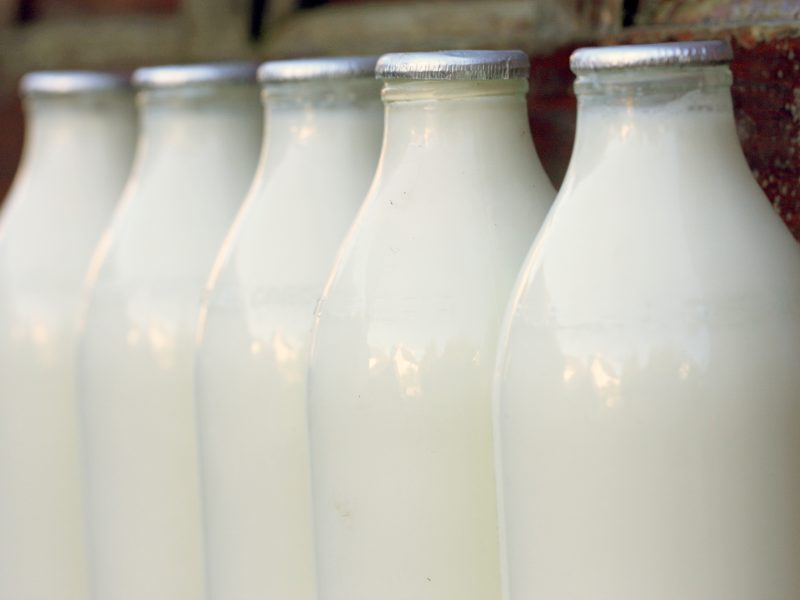 Unite has launched a recognition campaign at doorstep delivery firm Milk & More, after the company moved to derecognise trade unions Unite and Usdaw, ending decades of collective bargaining and formal workforce representation.