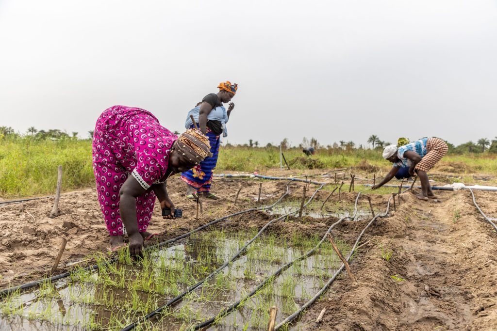 Waitrose has committed a £1m investment through the Waitrose Foundation to fund global water security and WASH (water, sanitation and hygiene) programmes by 2028.