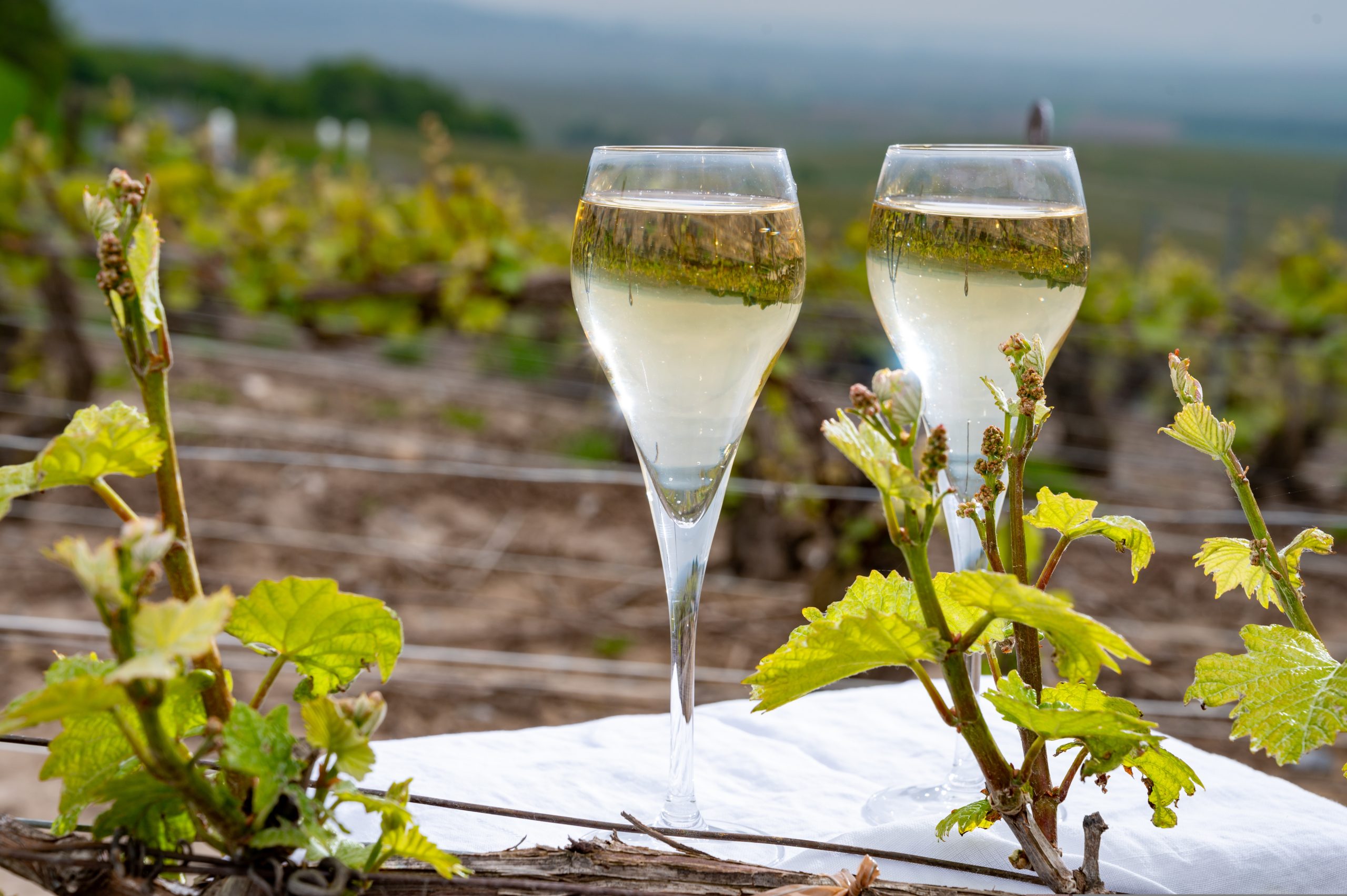 Virgin Wines