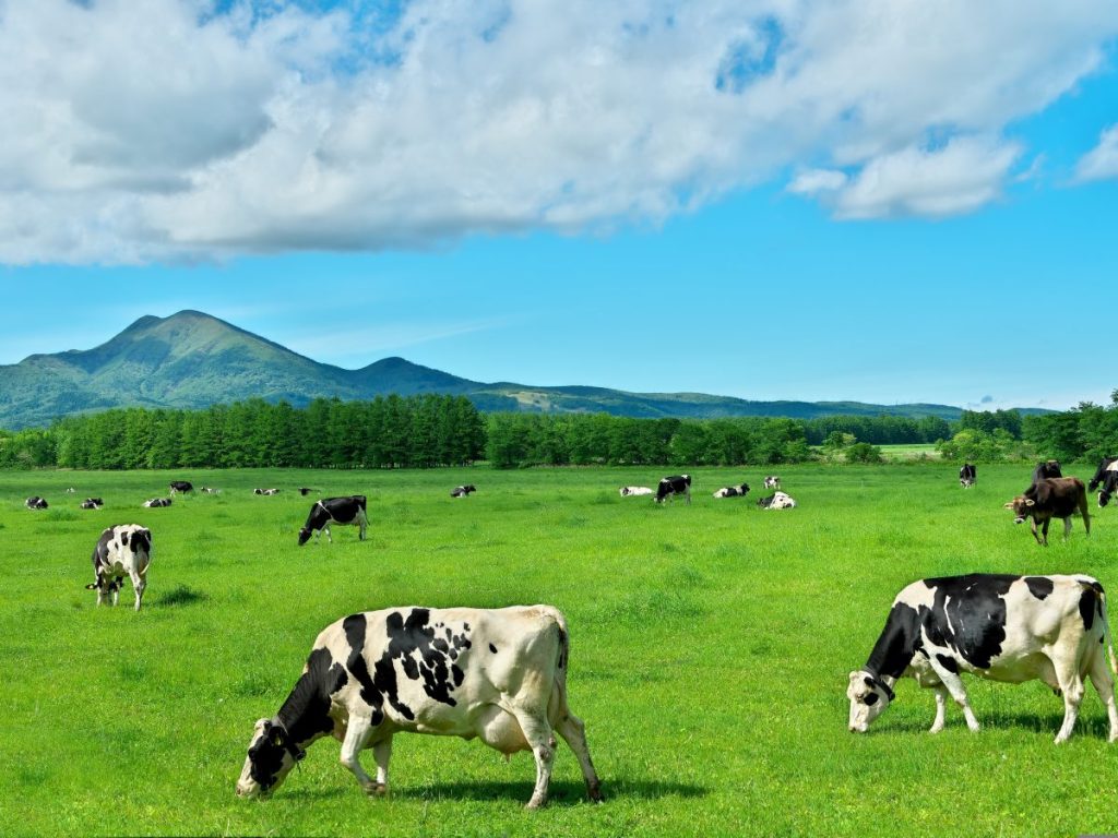 farmers