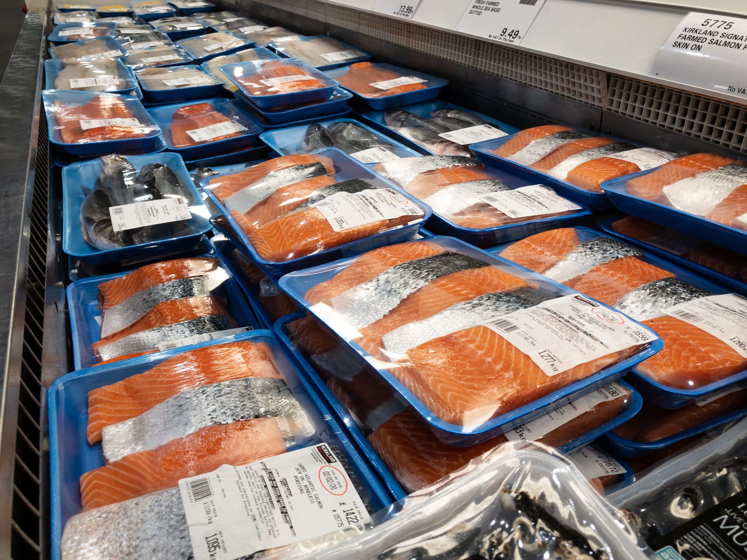 Salmon sold in major British supermarkets may have been raised on feed containing chicken by-products, as suppliers turn to alternative ingredients to cut costs.